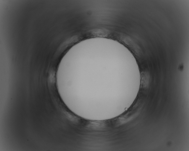 X0000101980713200807180800