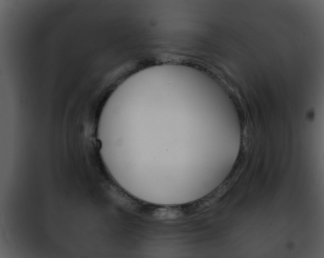 X0000101980714200807180800
