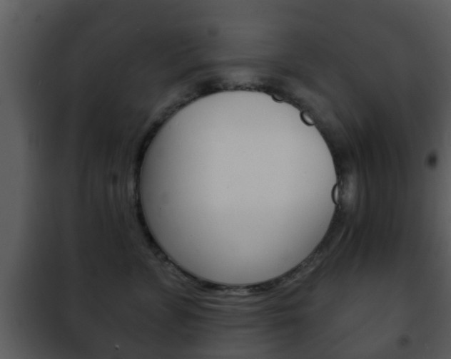 X0000101980715200807180800