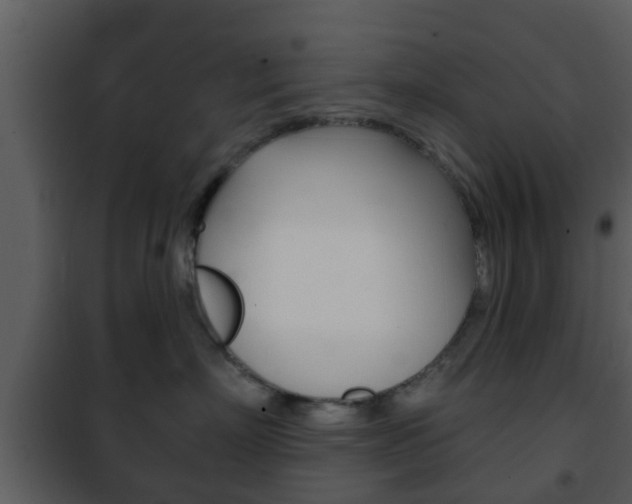 X0000101980718200807180800