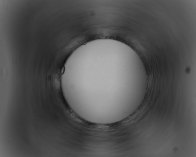 X0000101980719200807180800