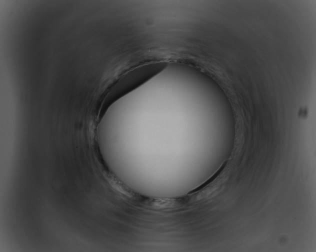X0000101980720200807180800