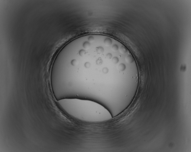 X0000101980721200807180800