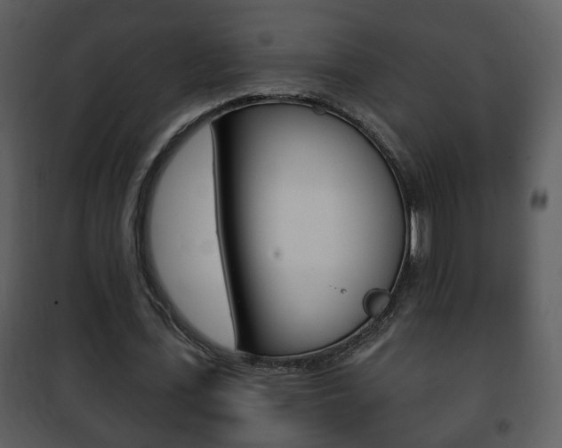 X0000101980723200807180800