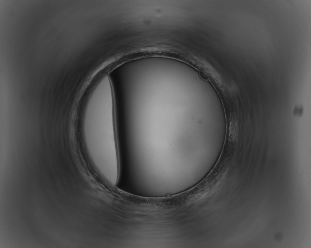 X0000101980724200807180800