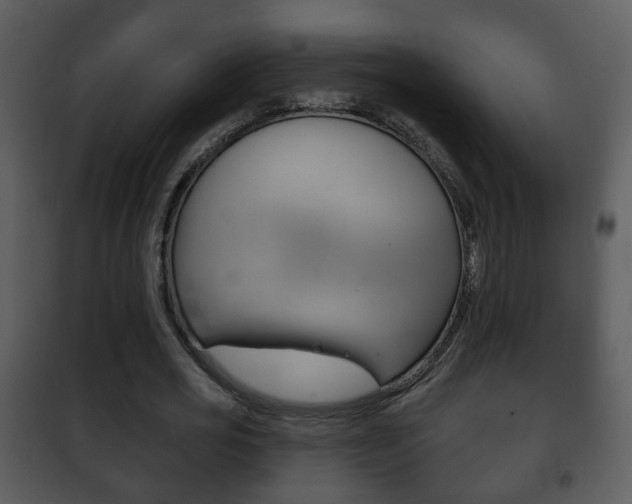 X0000101980725200807180800