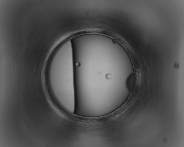 X0000101980726200807180800
