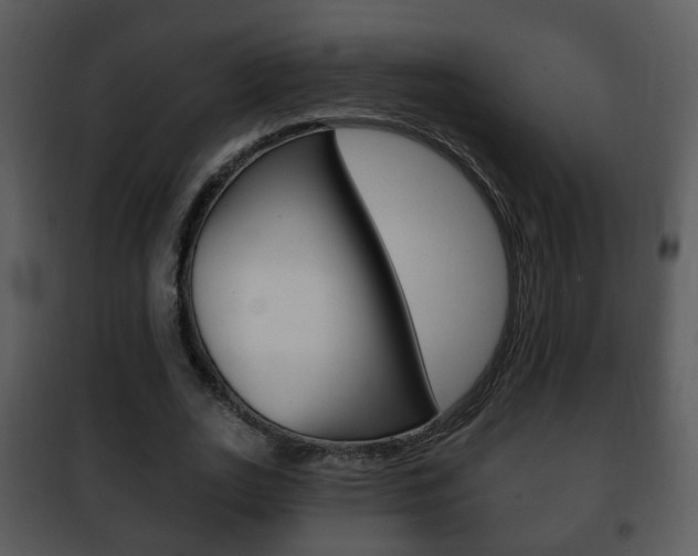 X0000101980727200807180800