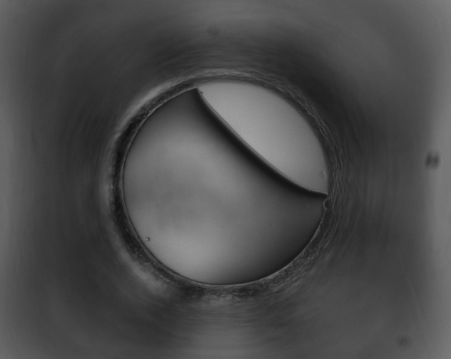 X0000101980728200807180800