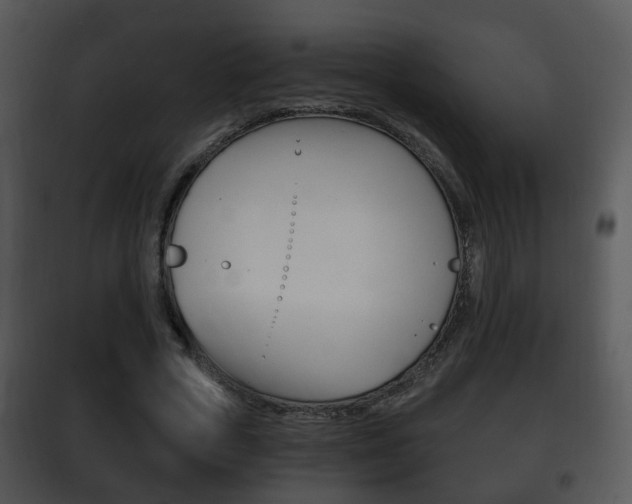 X0000101980729200807180800