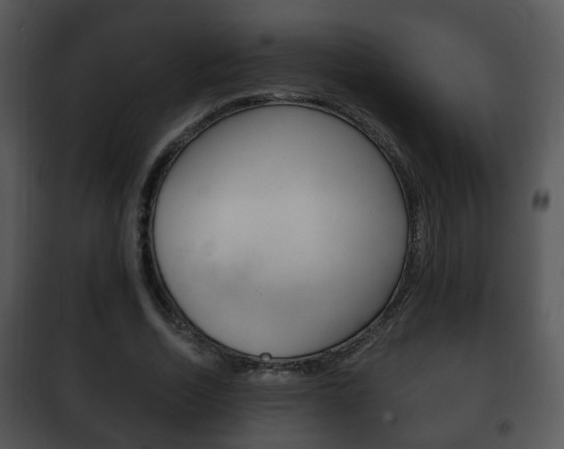 X0000101980730200807180800