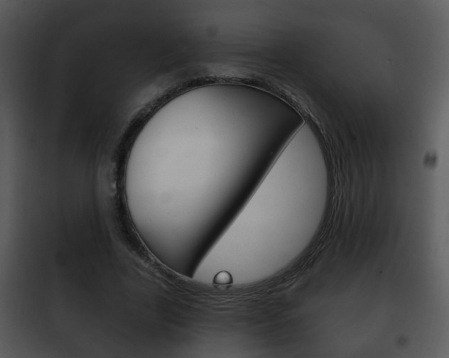 X0000101980731200807180800