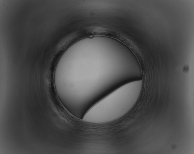 X0000101980732200807180800