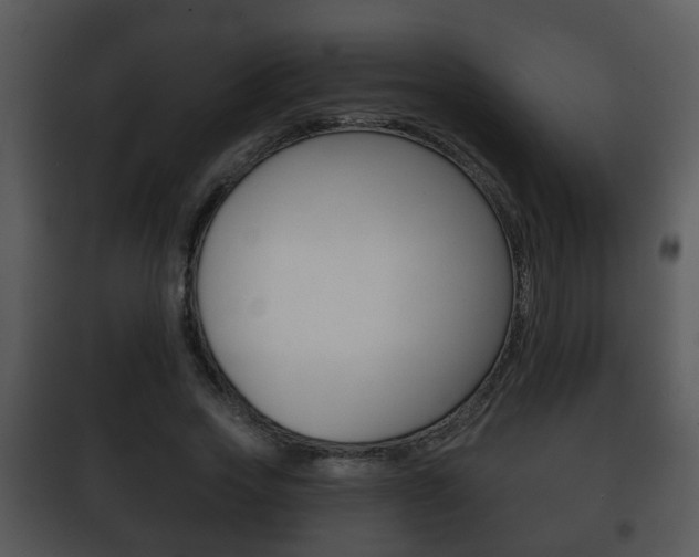 X0000101980733200807180800