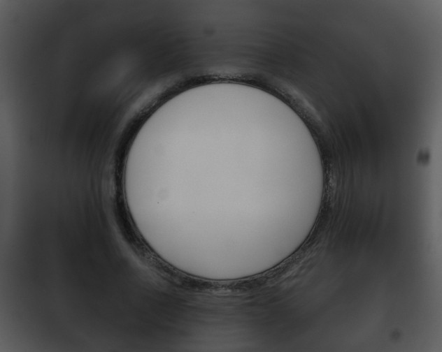 X0000101980734200807180800