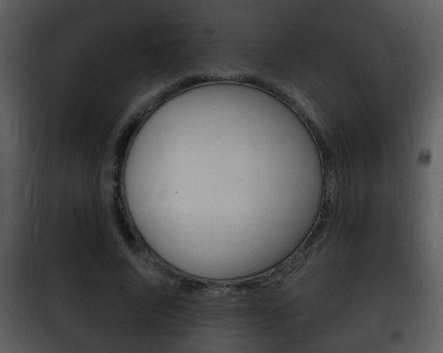 X0000101980736200807180800