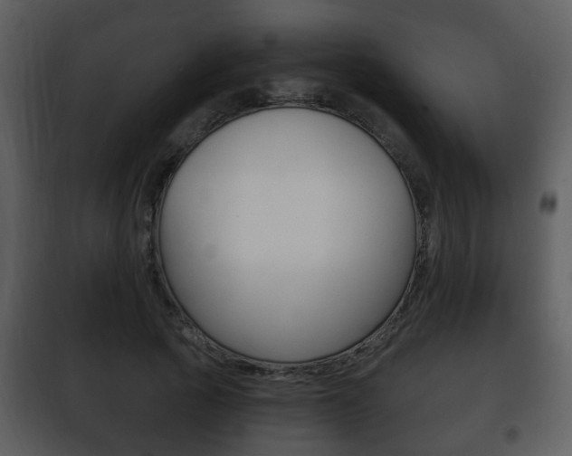 X0000101980737200807180800