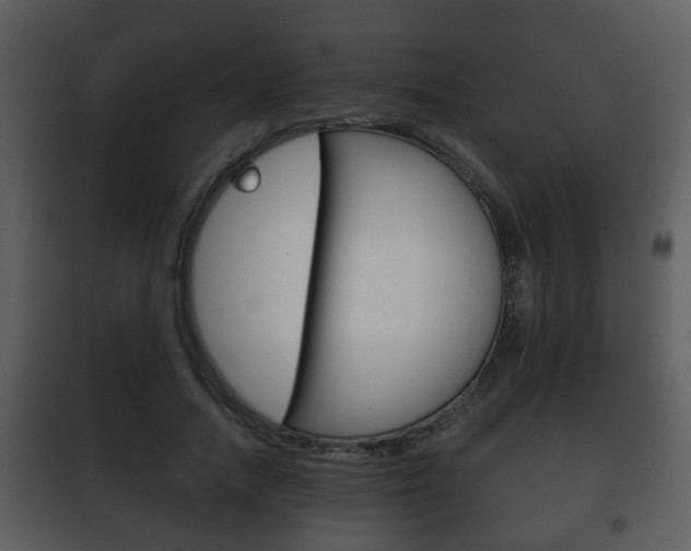X0000101980738200807180800