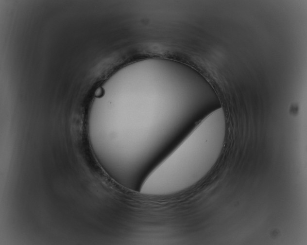 X0000101980739200807180800