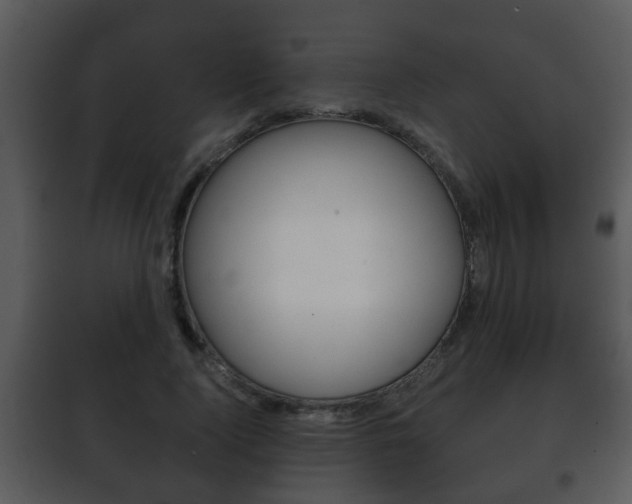 X0000101980740200807180800