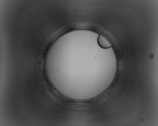 X0000101980741200807180800