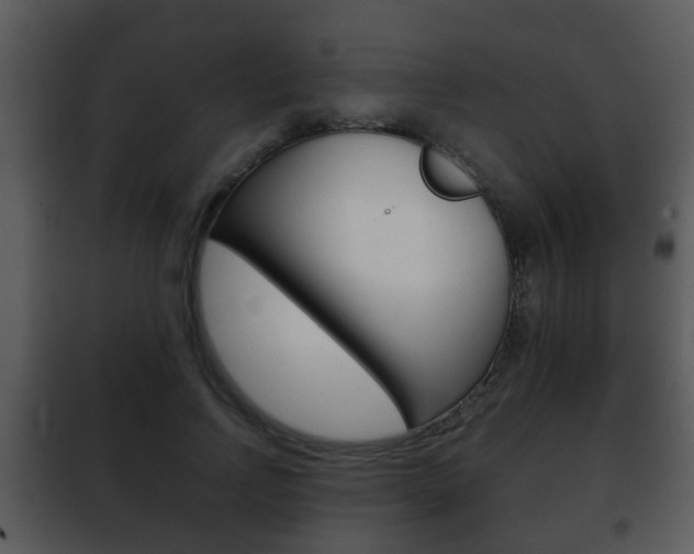 X0000101980742200807180800