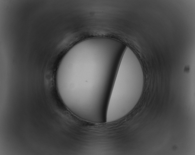X0000101980743200807180800