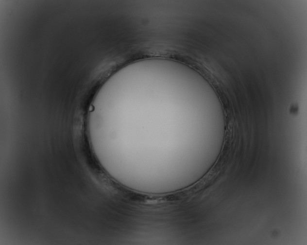 X0000101980744200807180800