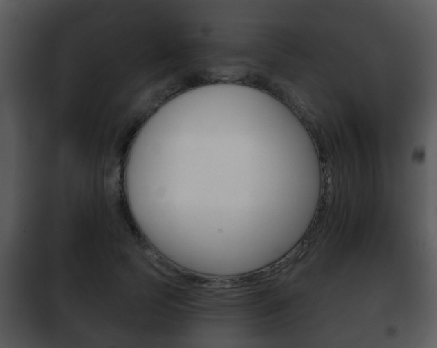 X0000101980745200807180800