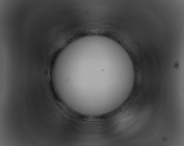X0000101980746200807180800