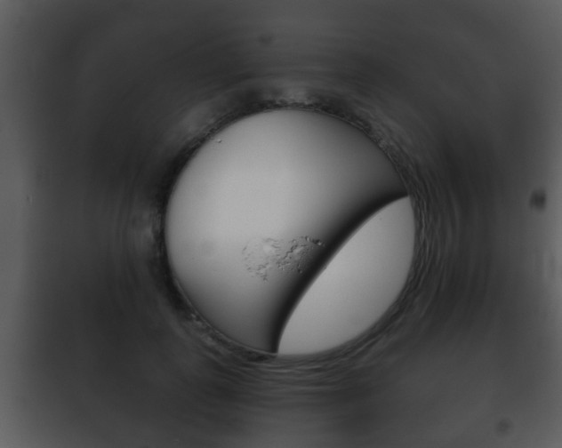 X0000101980747200807180800