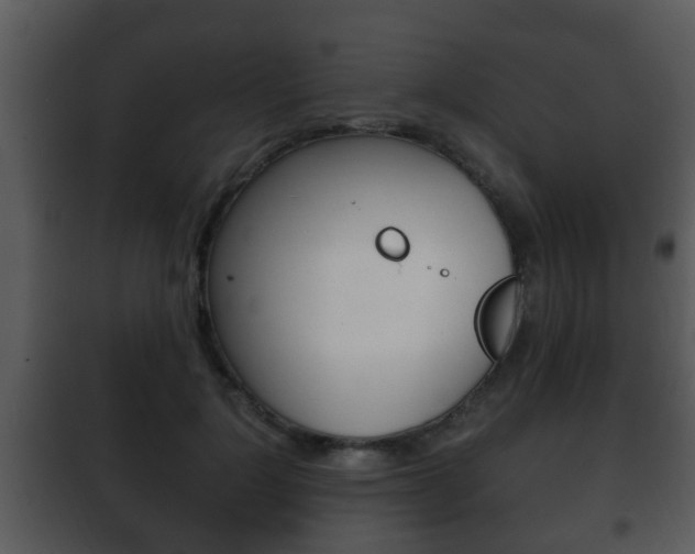 X0000101980748200807180800