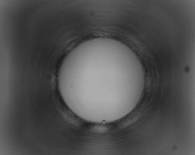 X0000101980749200807180800