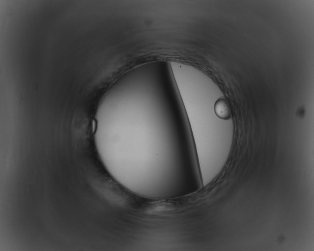 X0000101980750200807180800
