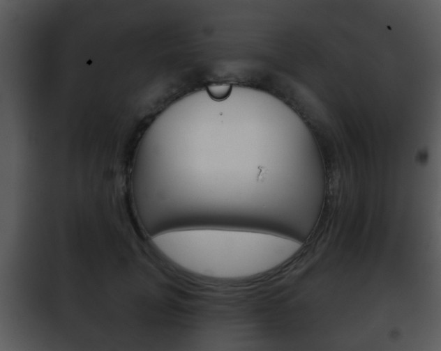 X0000101980751200807180800