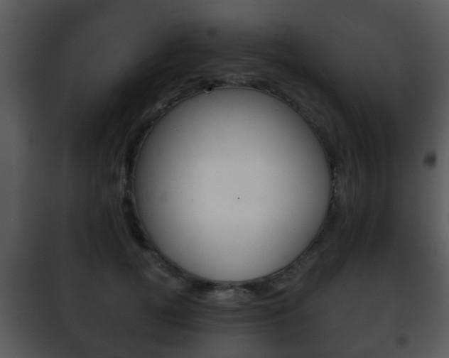 X0000101980752200807180800