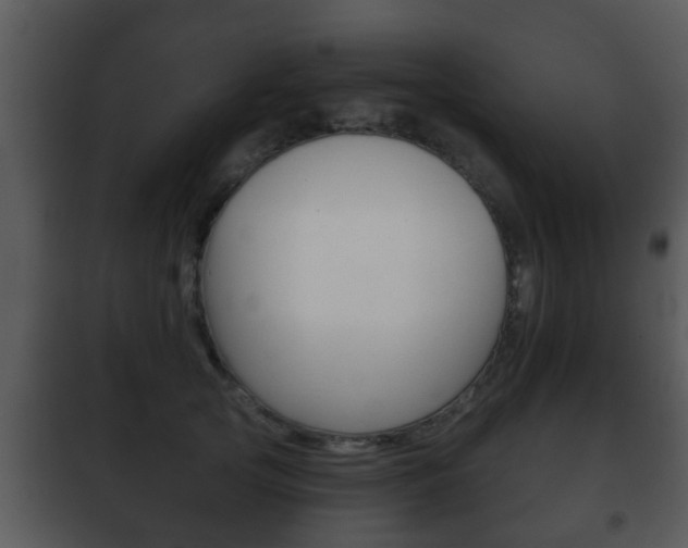 X0000101980753200807180800