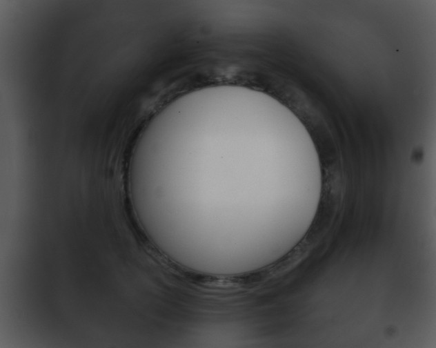 X0000101980754200807180800