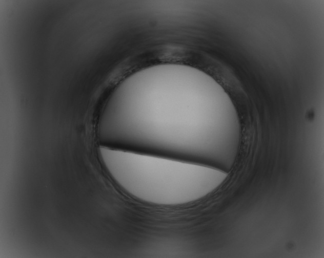 X0000101980755200807180800