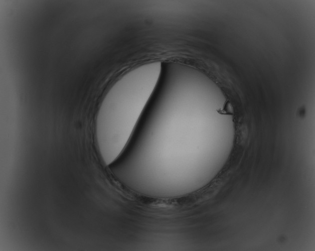X0000101980756200807180800
