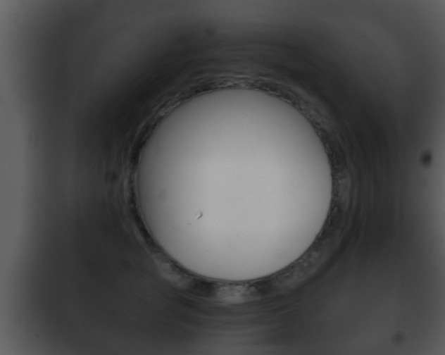 X0000101980757200807180800