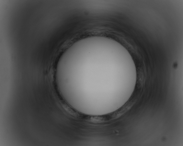 X0000101980758200807180800