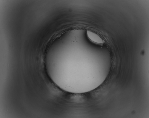 X0000101980759200807180800