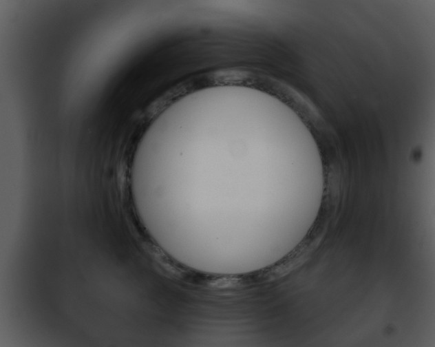X0000101980761200807180800