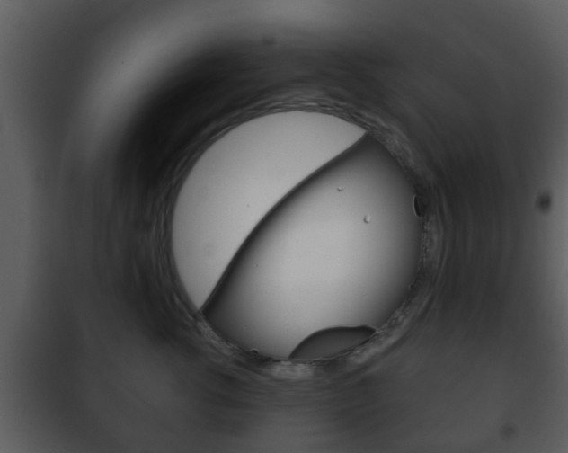 X0000101980762200807180800