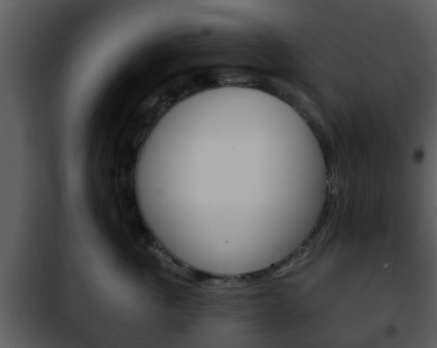 X0000101980763200807180800