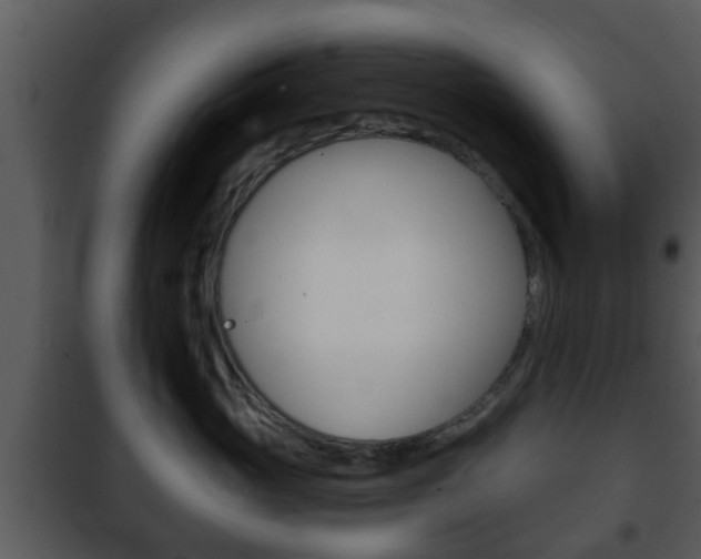 X0000101980765200807180800