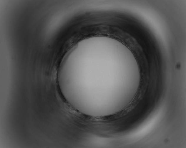 X0000101980767200807180800