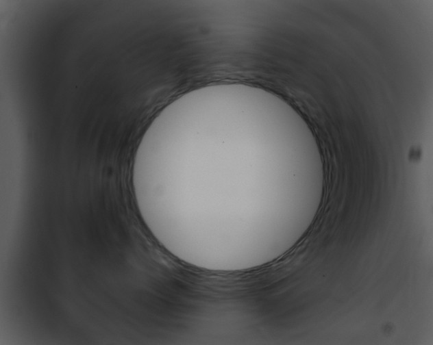 X0000101980768200807180800