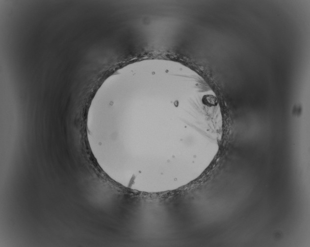 X0000101980769200807180800
